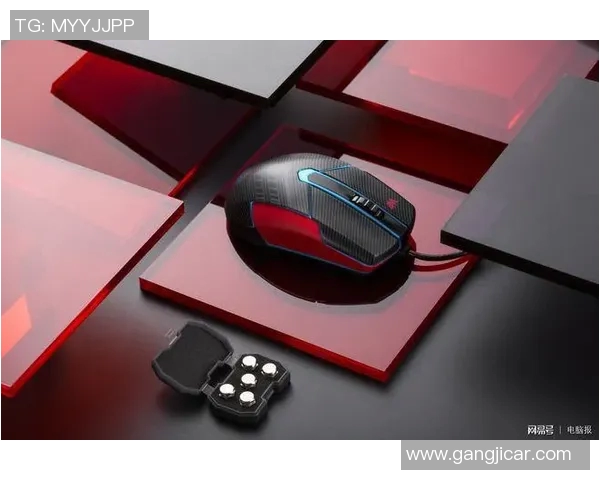 李娜畅谈和平精英生涯与电竞实时数据的深度对话